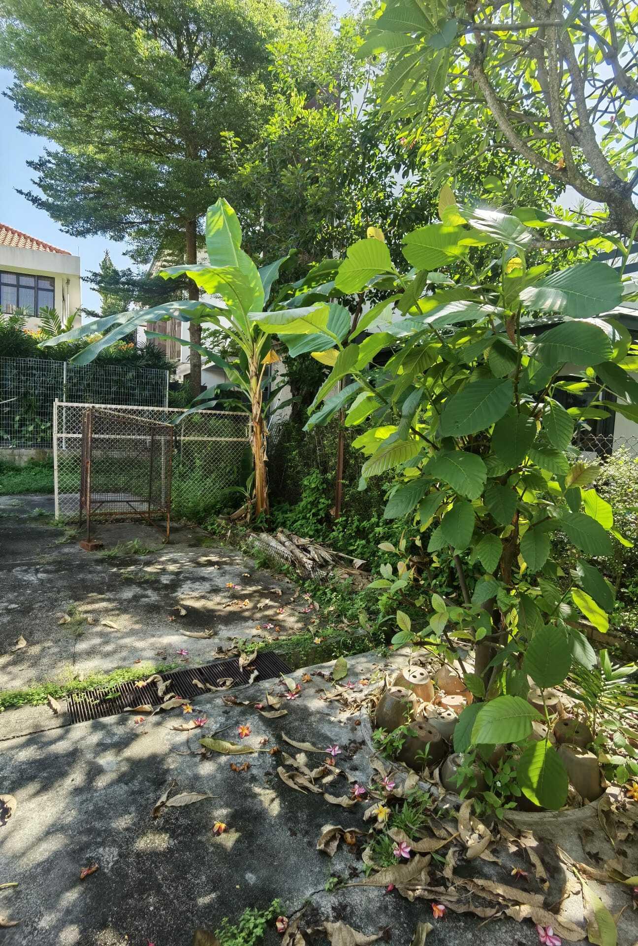 Bungalow for Sale: D15, 439717