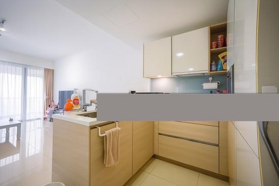 V on Shenton Condominium For Sale, $2,300,000, 2 Bed 2 Bath 1,098 sqft $2,095.00 psf