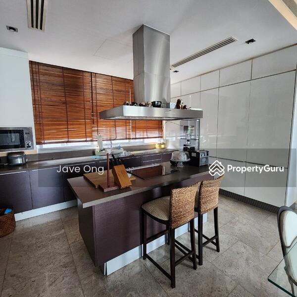 Condominium for Sale: Cairnhill, D09, 229790