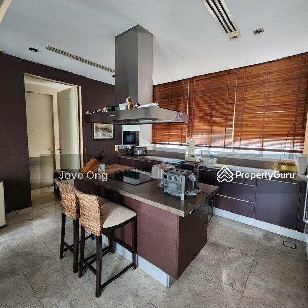Condominium for Sale: Cairnhill, D09, 229790