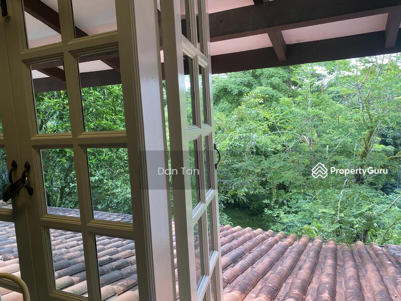 Semi-Detached for Sale: Holland, D10, 279419