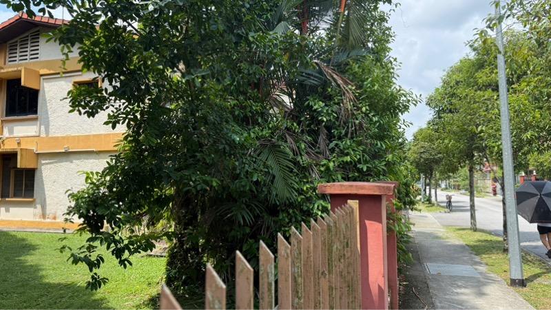 Mayflower Gardens Semi-Detached House For Sale, $9,500,000, 4 Bed 2 Bath 1,900 sqft $1,632.00 psf