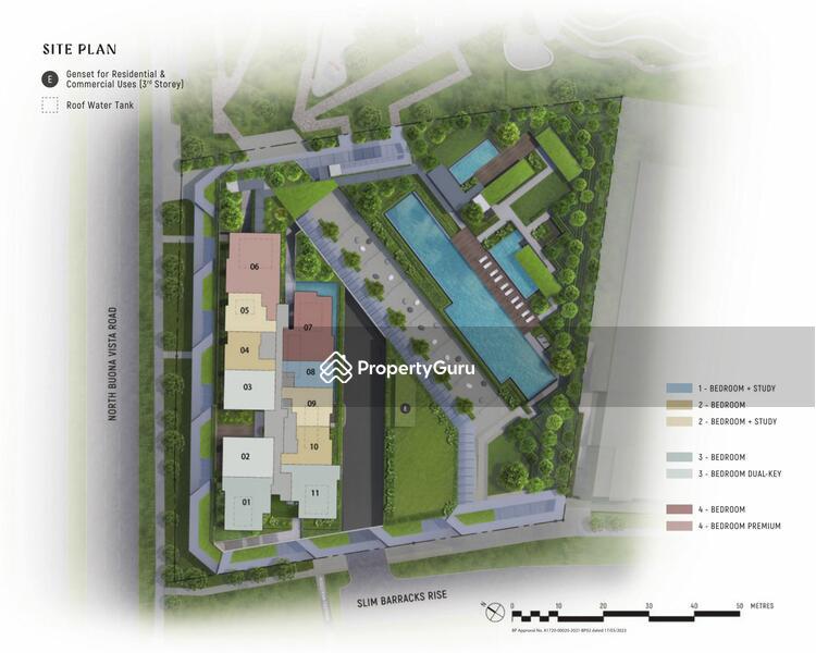 Blossoms By The Park