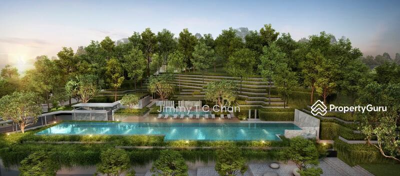 Blossoms By The Park