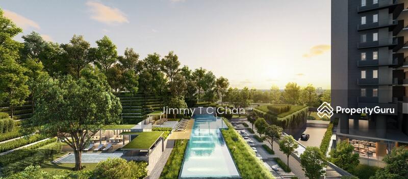 Blossoms By The Park