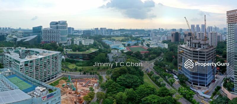Blossoms By The Park