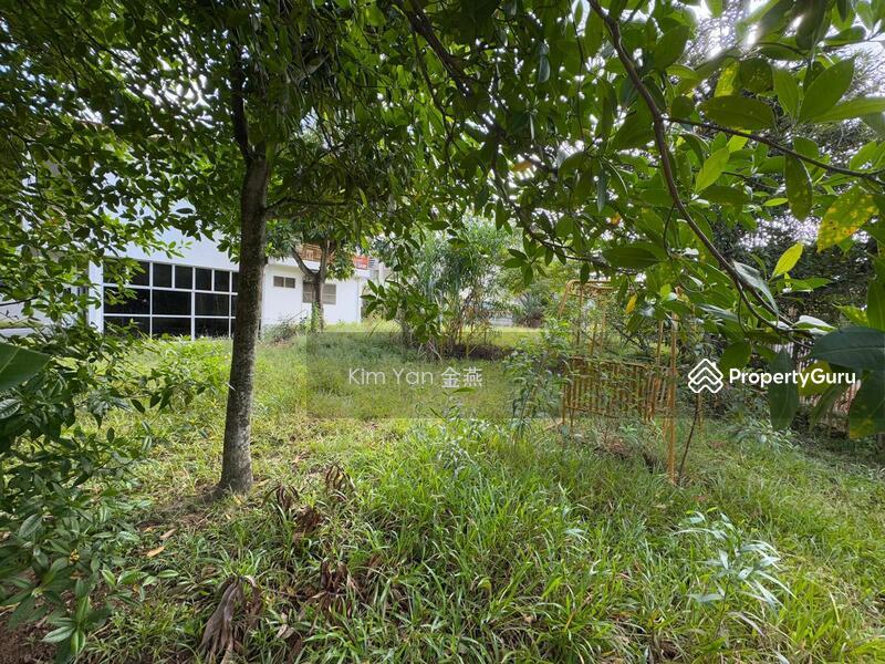 Prop-GPT: Bungalow: D18 Pasir Ris Cheapest rare huge land with wide frontage & regular shape, only $10xx psf