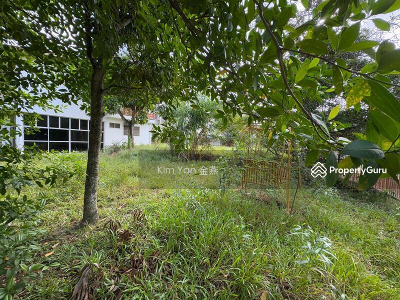 Bungalow for Sale: Pasir Ris, D18, 519122