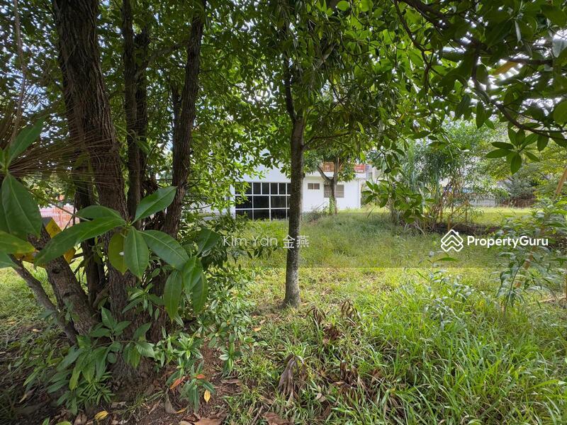 Bungalow for Sale: Pasir Ris, D18, 519122