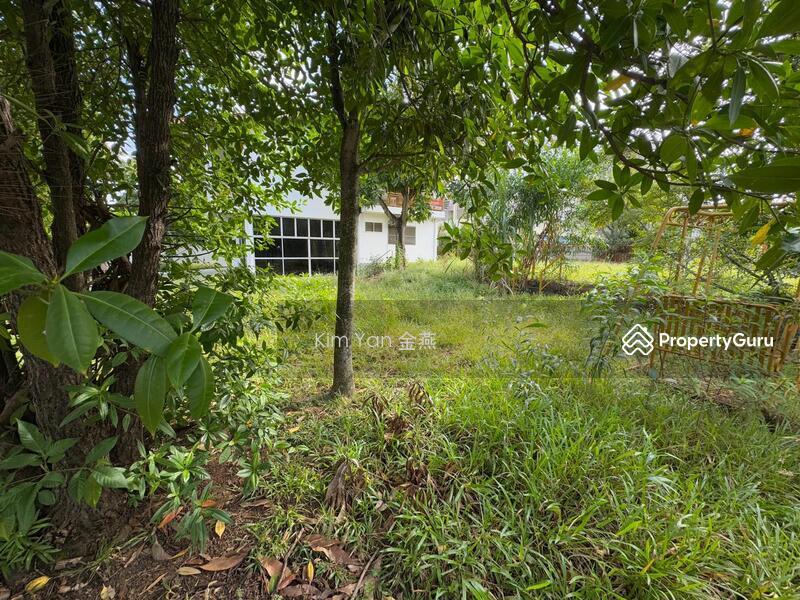 Bungalow for Sale: Pasir Ris, D18, 519122
