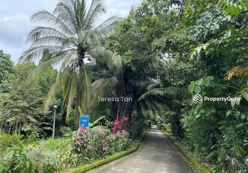 Prop-GPT: Terrace: D11  LANDED7772@MOUNT ROSIE SIGNATURE  9_667_7772