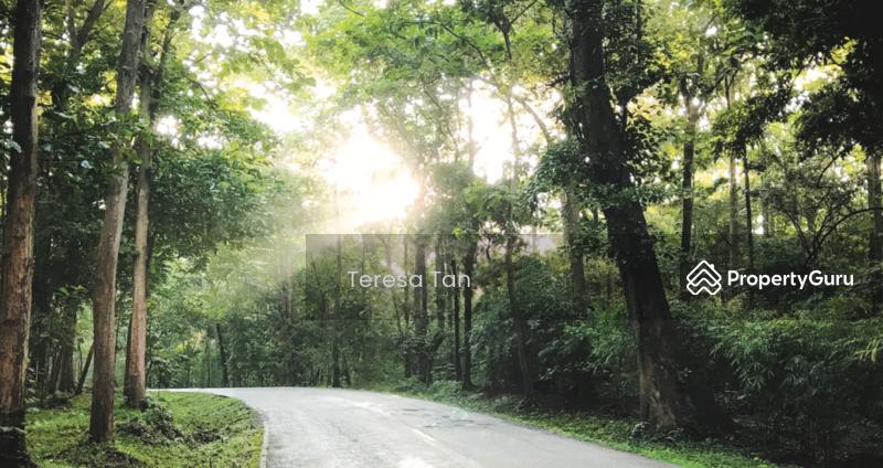 LANDED7772@MOUNT ROSIE SIGNATURE  9_667_7772