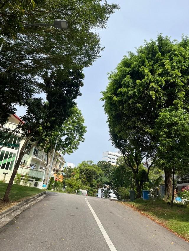 Teresa Villas Bungalow House For Sale, $20,000,000, 3 Bed 4 Bath 3,934 sqft $1,747.00 psf