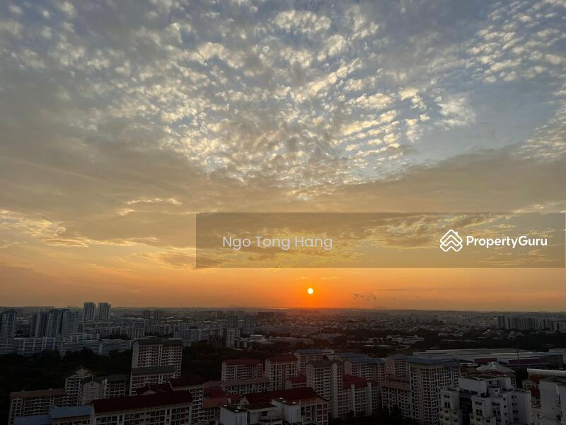 273A Bishan Street 24