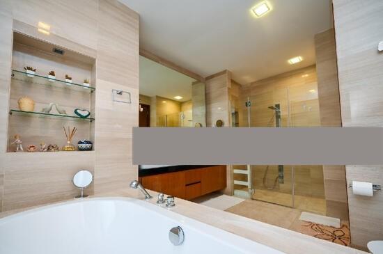 RARE Freehold Semi-D In D10 / Holland Road Semi-Detached House For Sale, $11,900,000, 5 Bed 5 Bath 5,800 sqft $2,833.00 psf