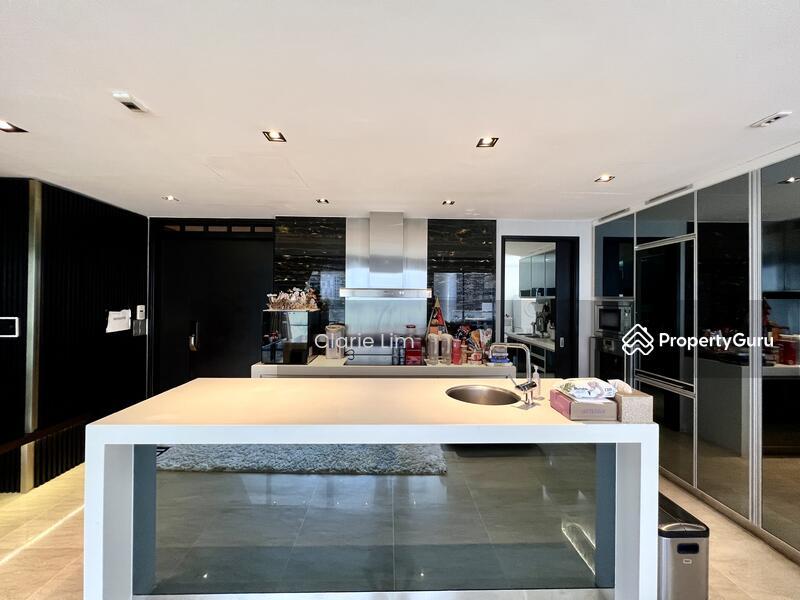 Apartment for Sale: Cairnhill, D09, 228314