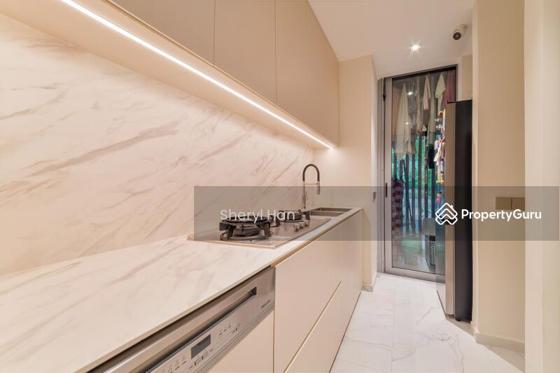 The Holland Collection