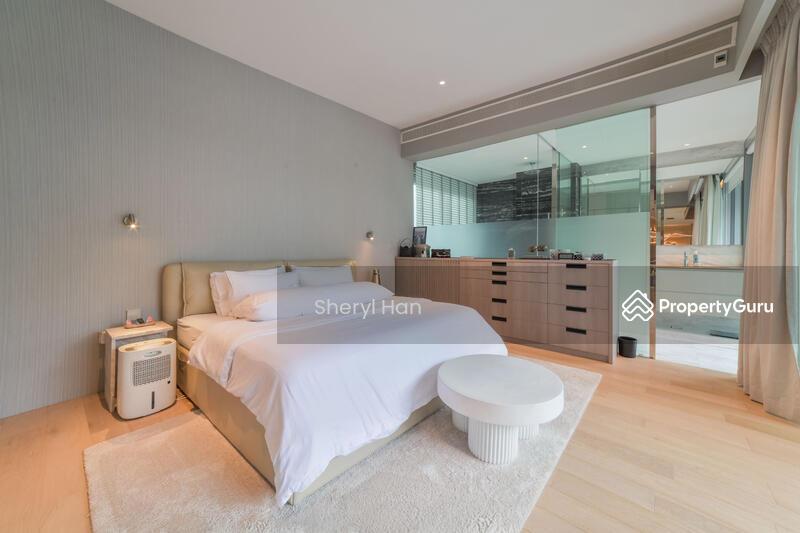 The Holland Collection