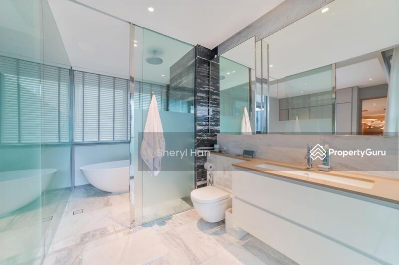 The Holland Collection