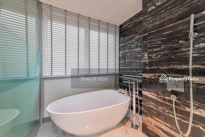 The Holland Collection