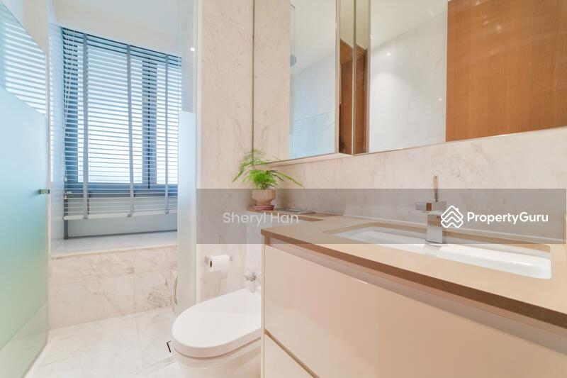 The Holland Collection