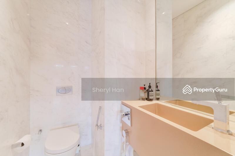 The Holland Collection