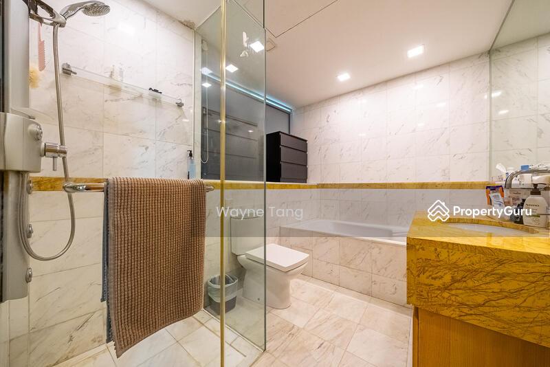 Condominium for Sale: Cairnhill, D09, 229768