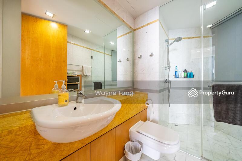 Condominium for Sale: Cairnhill, D09, 229768