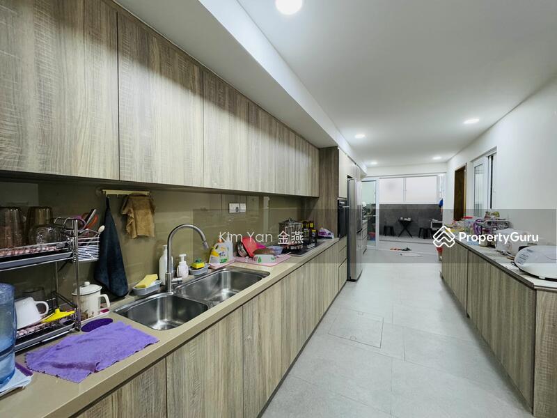 Very New Freehold Terrace with Huge ceiling, airwell bring in sky light, spacious layout, park 4cars