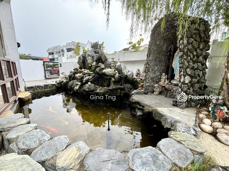 Corner Terrace for Sale: D19, 559274
