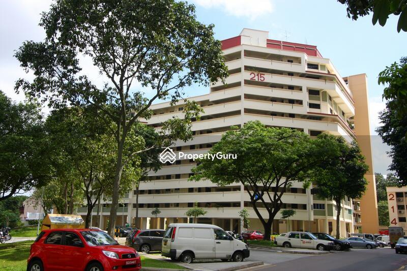 HDB Flat for Sale: D19, 550215