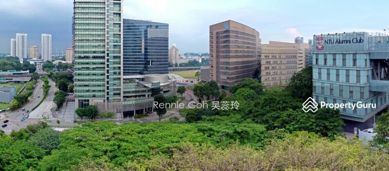 Blossoms By The Park