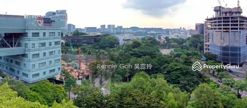 Blossoms By The Park