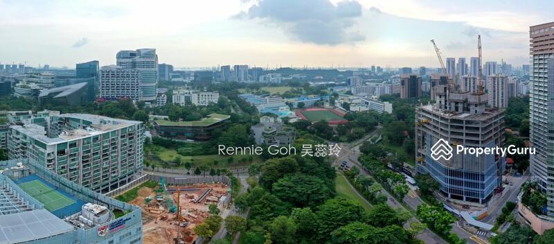 Blossoms By The Park