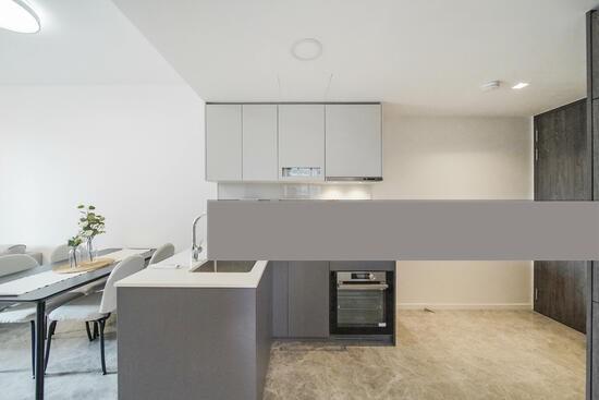 Condominium for Sale: Middle Road, D07, 188947