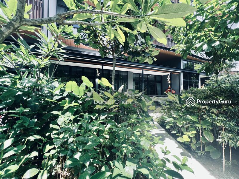 Daintree Residence