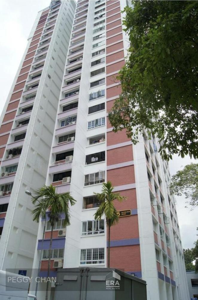 Prop-GPT: HDB - 3 room: D03 Tiong Bahru 95 Havelock Road