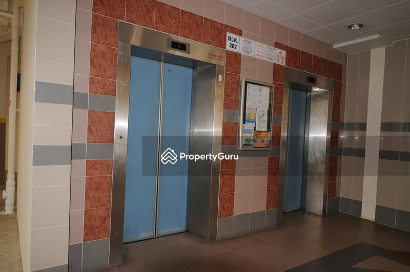 282 Choa Chu Kang Avenue 3