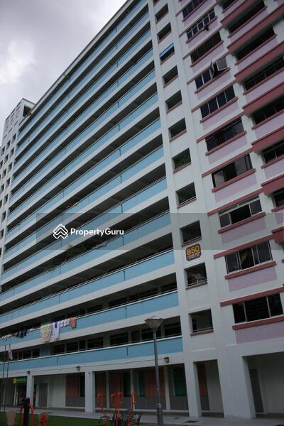 850 Jurong West Street 81
