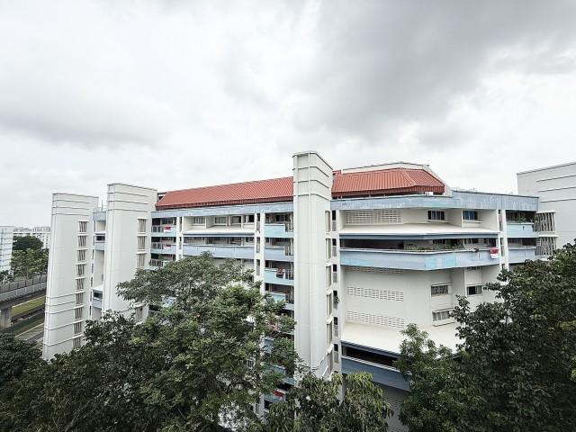 HDB Apartment for Sale: Tampines, D18, 520276