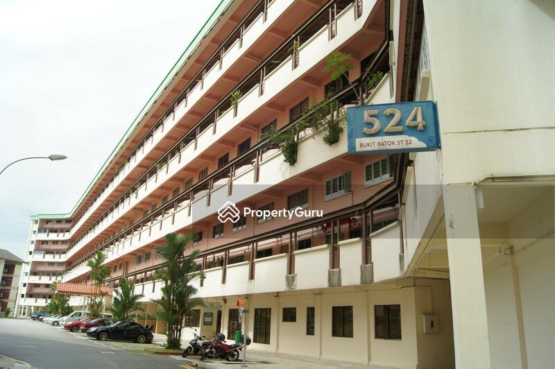 524 Bukit Batok Street 52