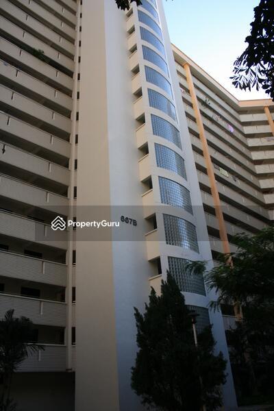 667B Jurong West Street 65