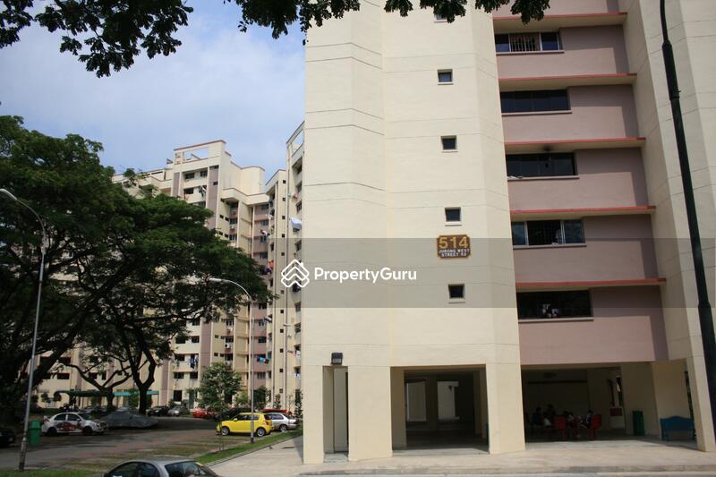 514 Jurong West Street 52
