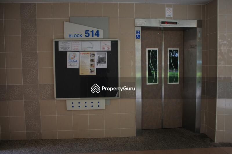 514 Jurong West Street 52