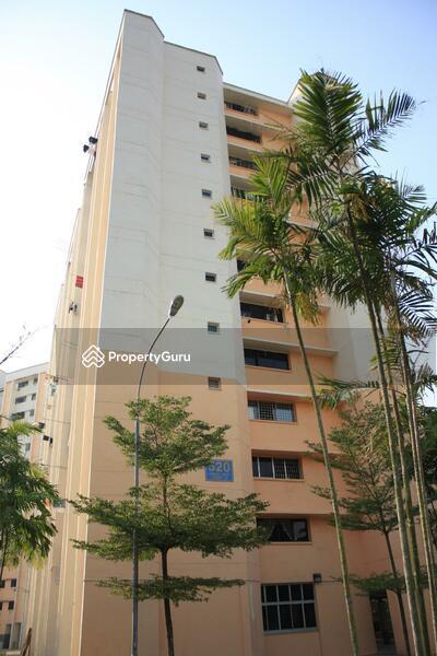 520 Jurong West Street 52