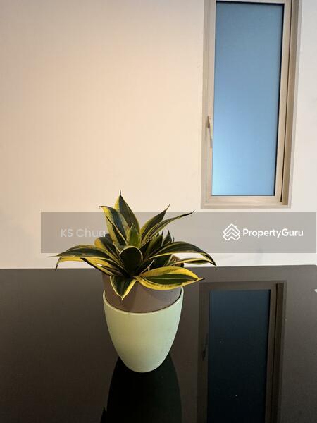 Tribeca by the Waterfront