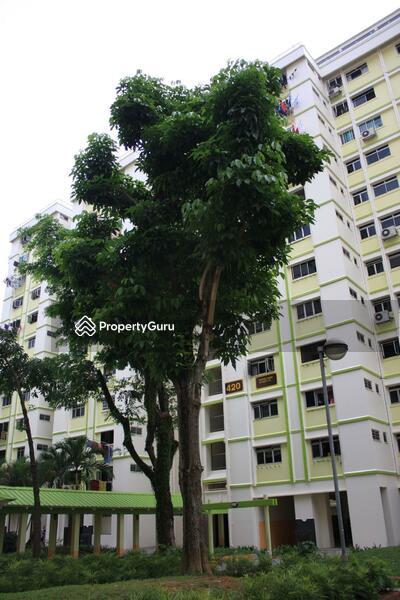 420 Woodlands Street 41