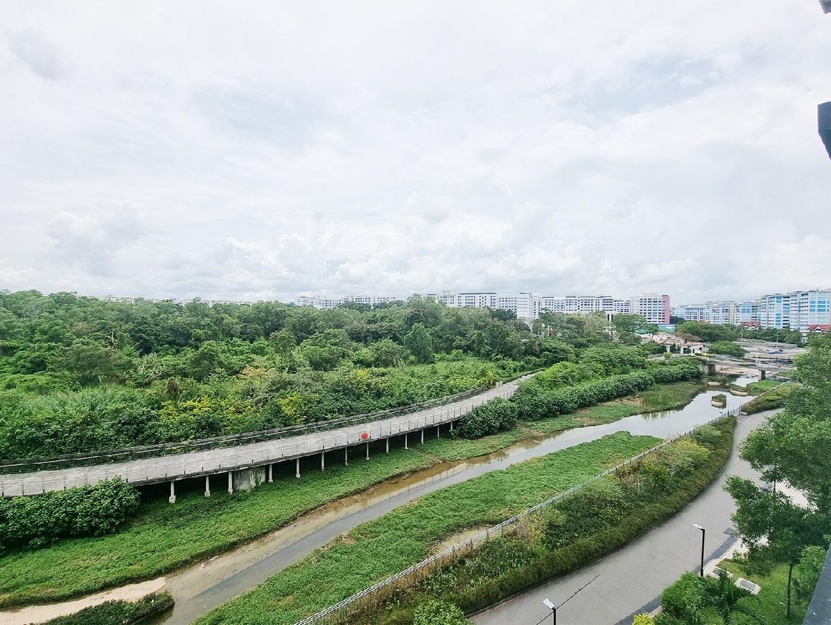 HDB Apartment for Sale: Tampines, D18, 523495