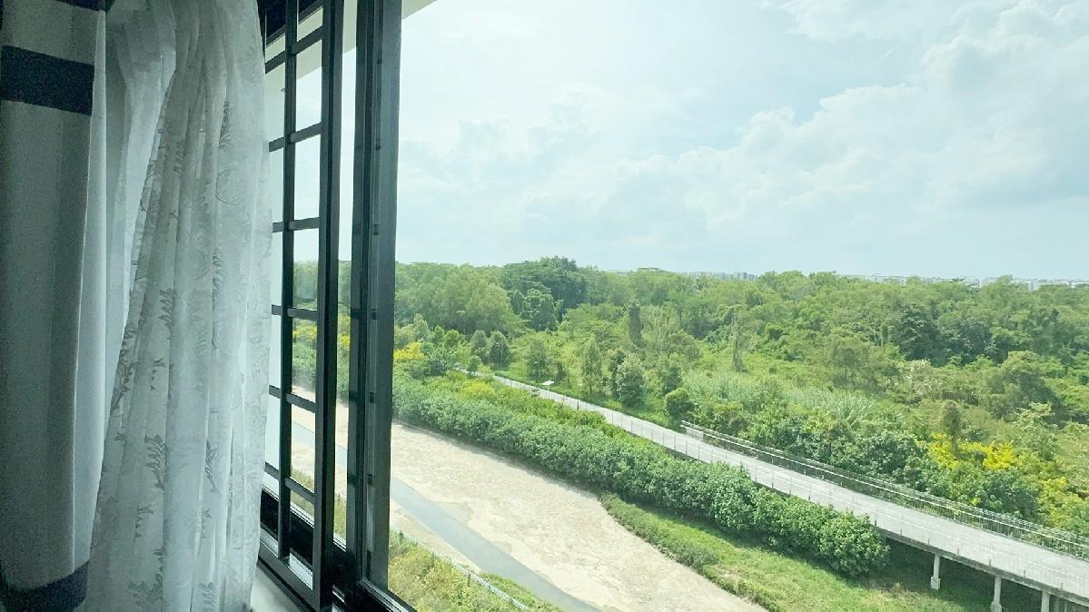 HDB Apartment for Sale: Tampines, D18, 523495