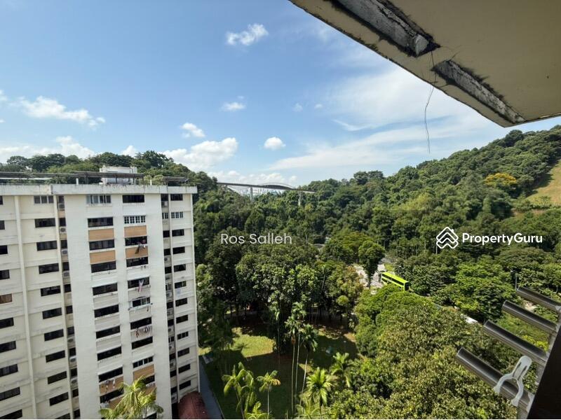 58 Telok Blangah Heights
